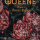 The Faerie Queene: Pocket Edition